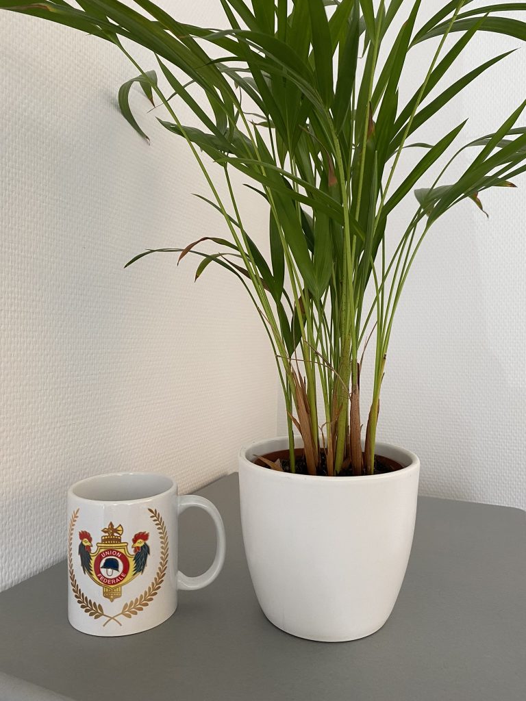 mug UF -